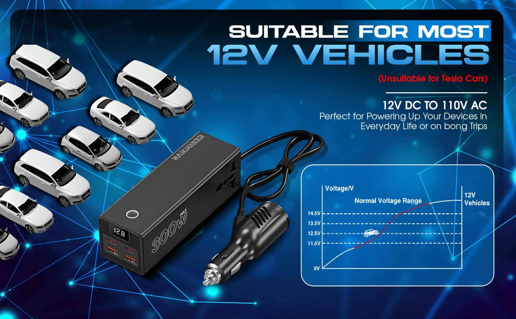Car power inverter graphic showing 12V DC to 110V AC conversion and a notice that it is unsuitable for Tesla cars.
